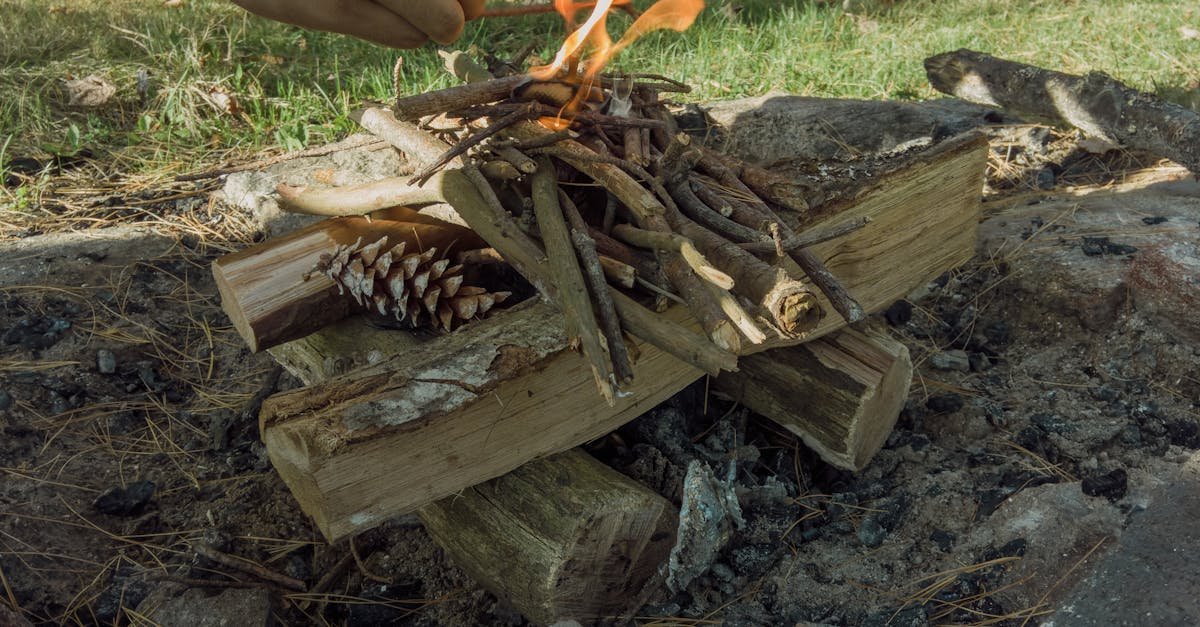 Ogień z niczego: 7 sprytnych sposobów na ognisko bez zapałek (nawet gdy jest wilgotno)