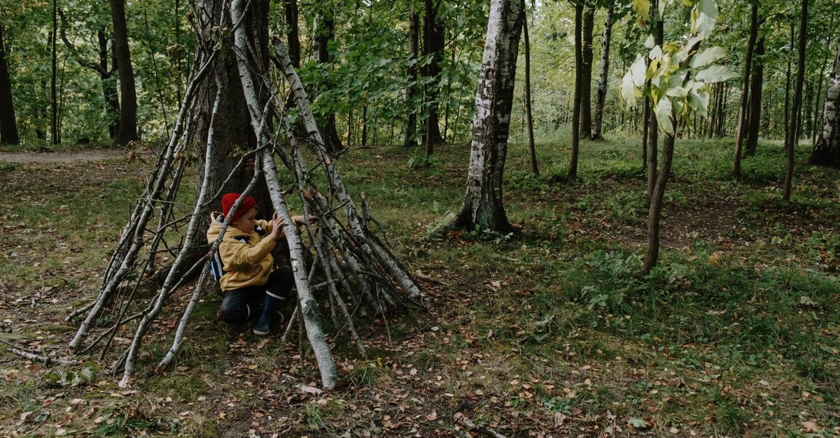 Leśny azyl w jeden dzień: postaw swój pierwszy szałas krok po kroku